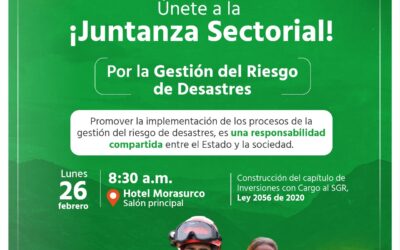 Juntanza sectorial por la atención y gestión de riesgos y desastres